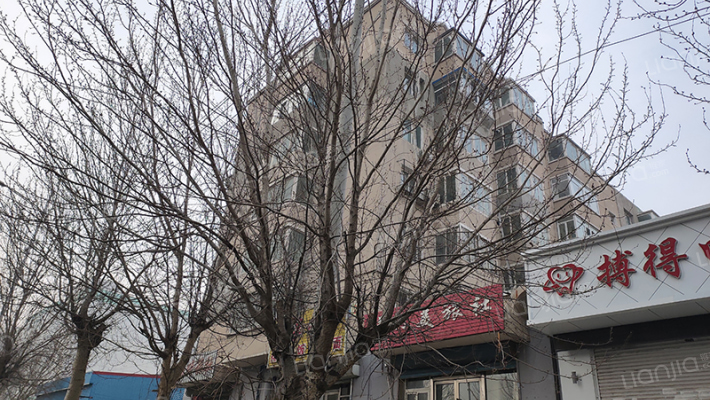 洪湖小区外景图