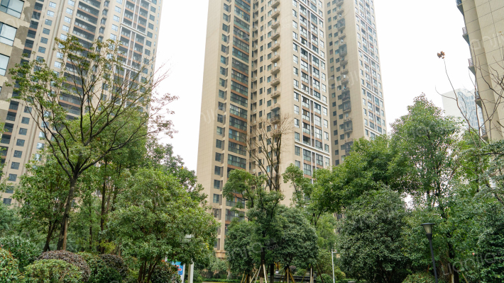 筑梦星园外景图