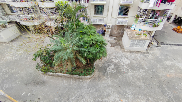 中亭街嘉惠苑外景图