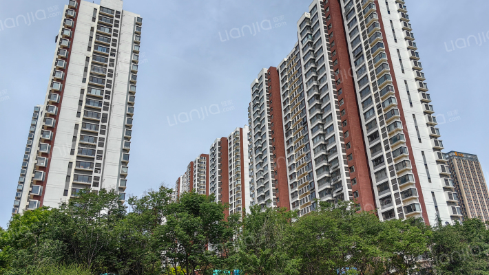 国华印象外景图