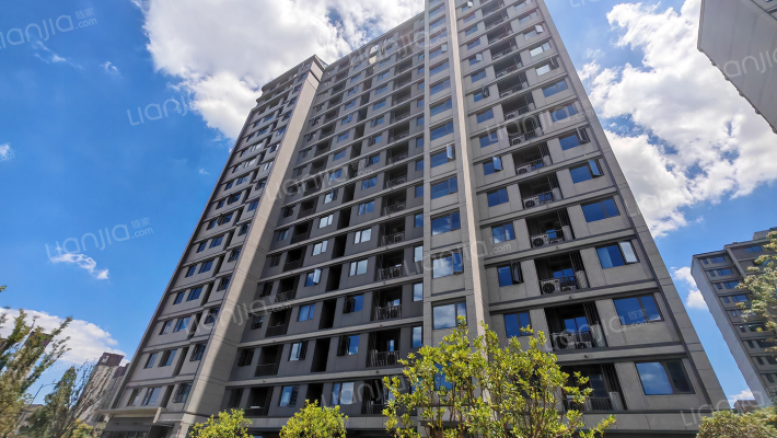 岚荷芸府外景图