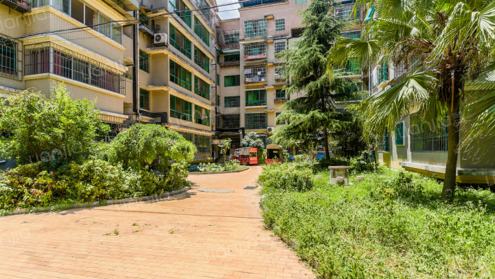 金锐花园外景图