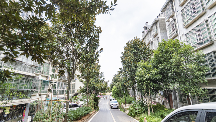 洞井一小区外景图