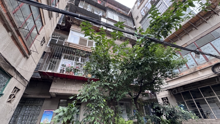 青龙巷38号外景图