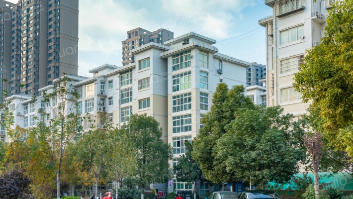 金秋乐园外景图