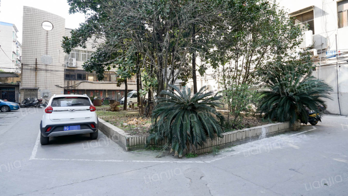 文星大道110号外景图