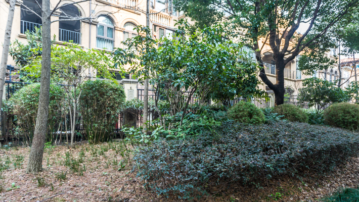 新湖明珠城里昂苑外景图