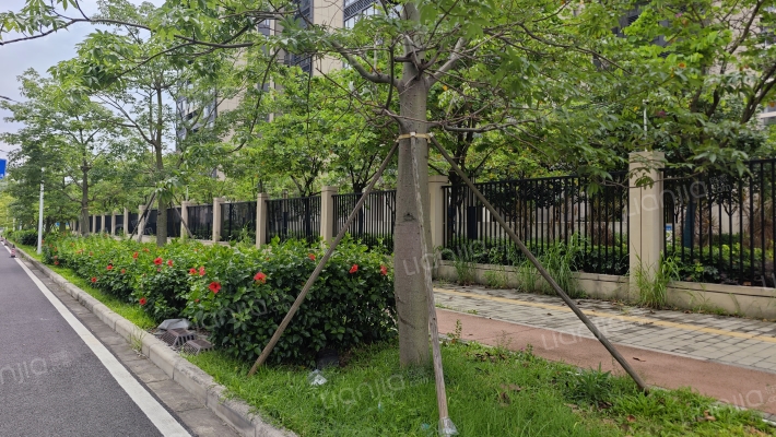 龙光·天瀛外景图