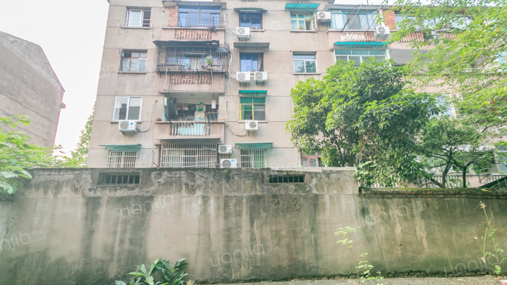 青春路54弄9号外景图