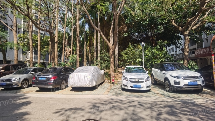 武夷工贸外景图