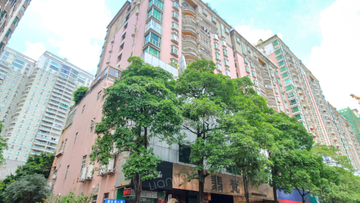 华乐大厦外景图