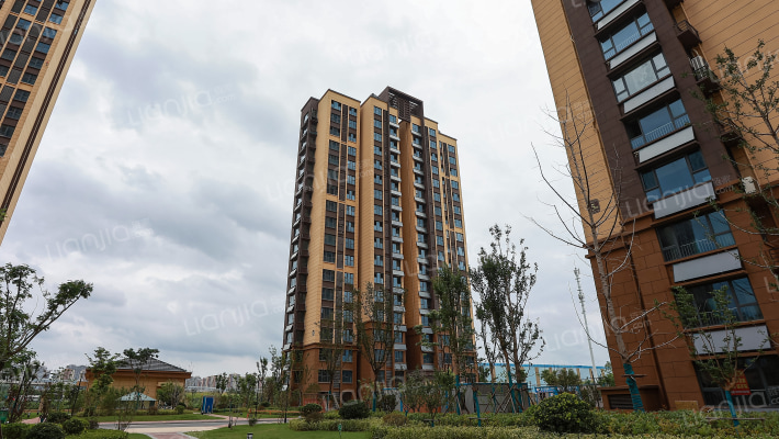 双兴河畔家园A区外景图