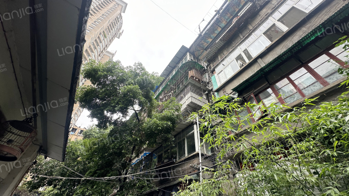 东城根南街56号外景图