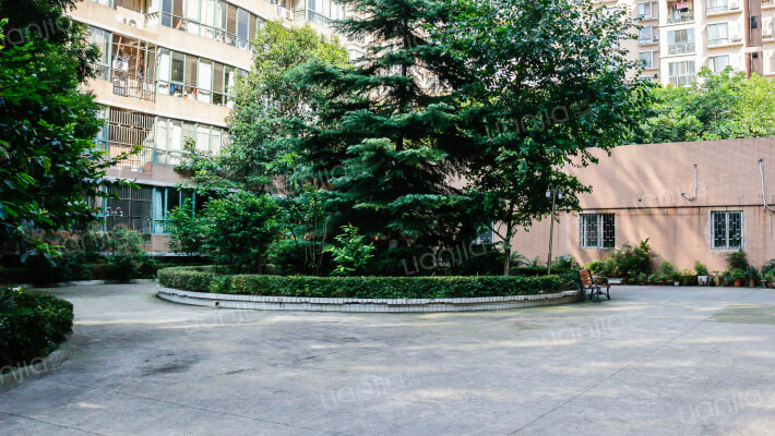 成电花园桃源苑外景图