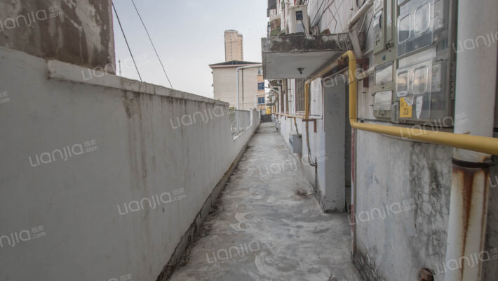 新许路西81外景图