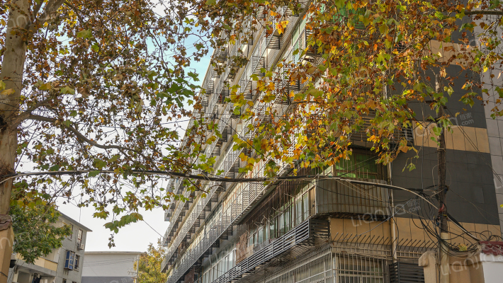 面粉厂家属院外景图