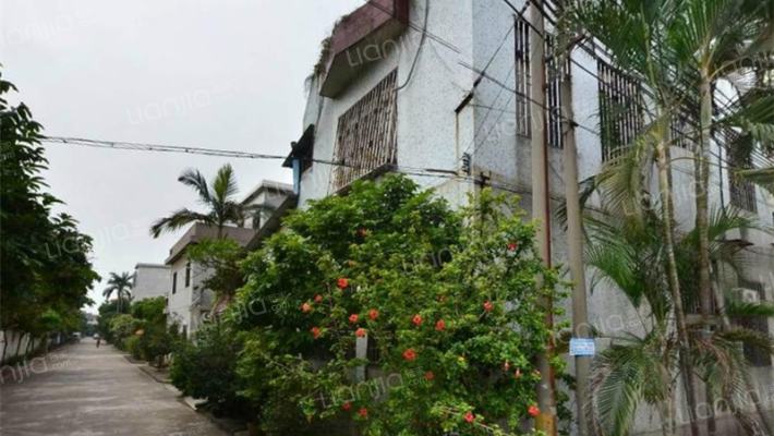 怡乐园(南沙)外景图