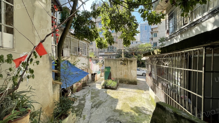 照壁巷23号外景图