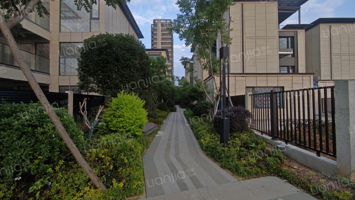 中设众安双屿大观外景图