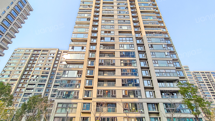 德信东境外景图