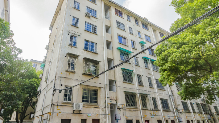 浦江街65号外景图