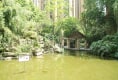 桐梓林欧城3