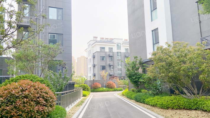 枣行社区外景图