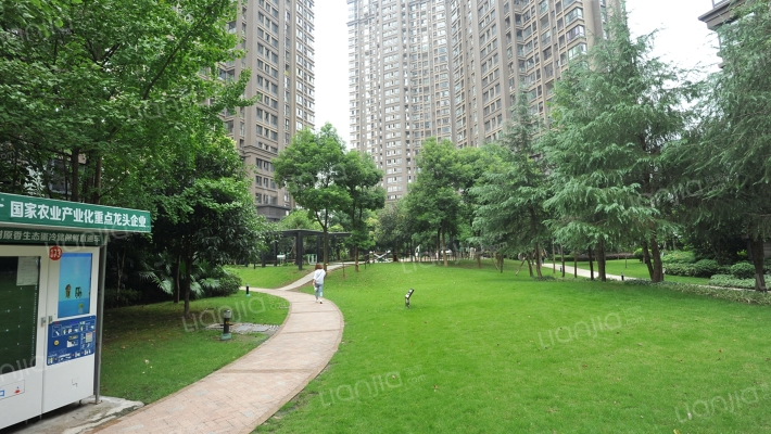 复地天玺外景图