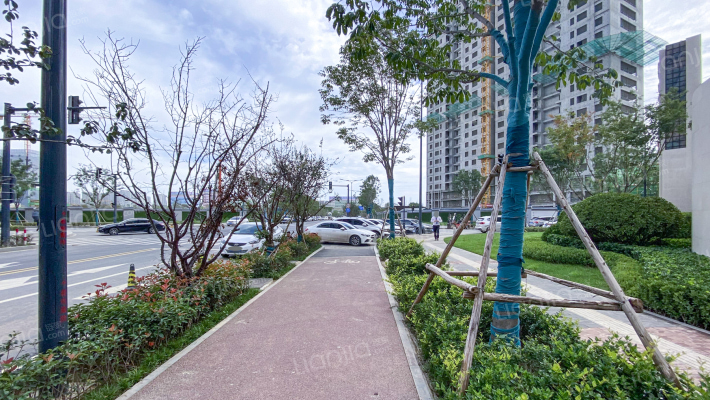 曲江文商檀境外景图