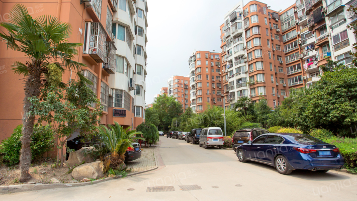 锦湖金利花园一期外景图