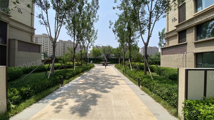 华安观澜府小区二期外景图