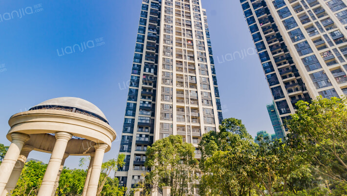 实地常春藤外景图