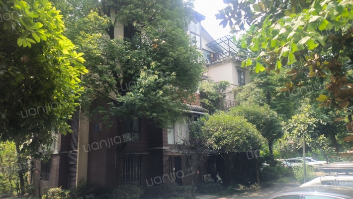 街子印象外景图