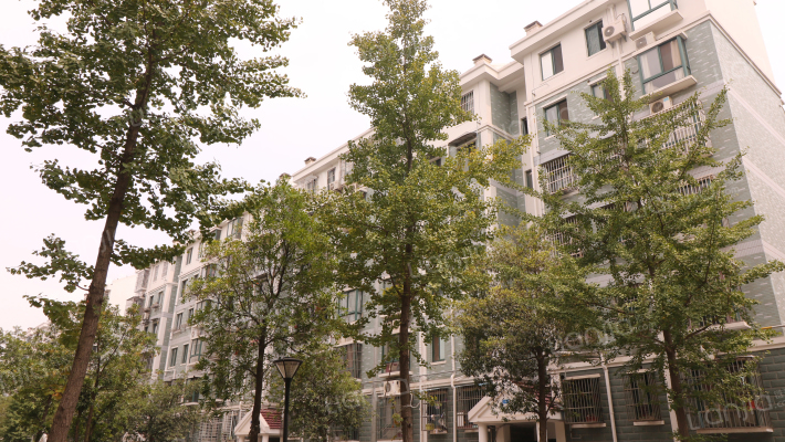 珍珠花苑(浦口)外景图