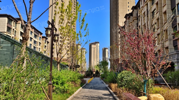 津南华府外景图