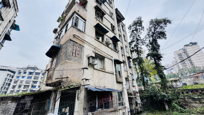 长石村13号外景图