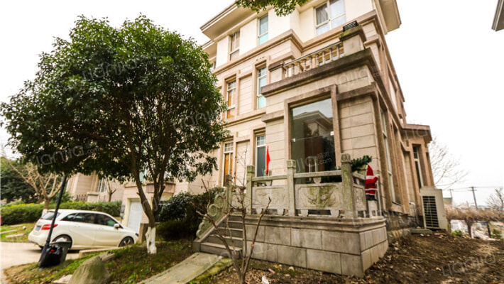 丽致星河外景图