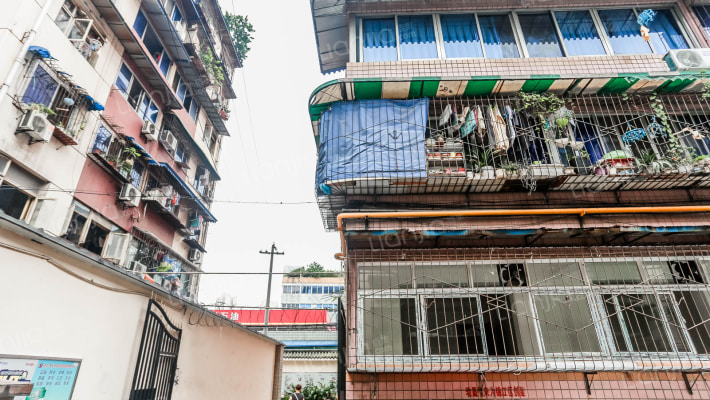 龙舟路66号外景图