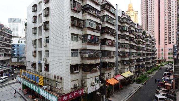 向西花园外景图