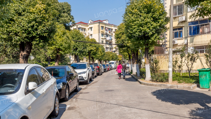 金杨七街坊外景图