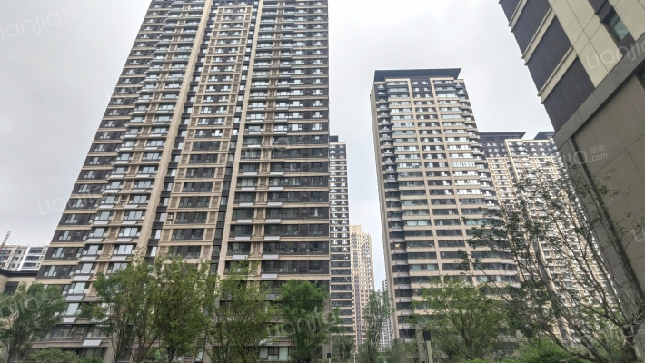 金地·湖城风华外景图