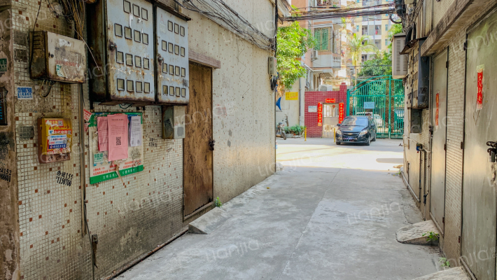 外滩东区外景图