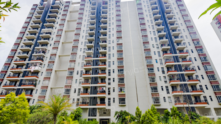 喜悦城果外景图