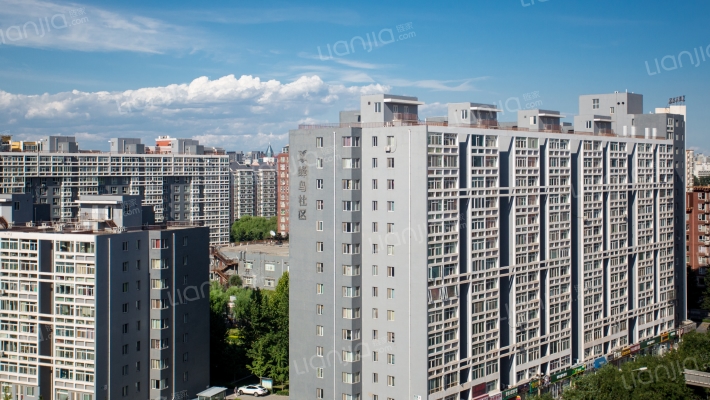 蜂鸟家园外景图