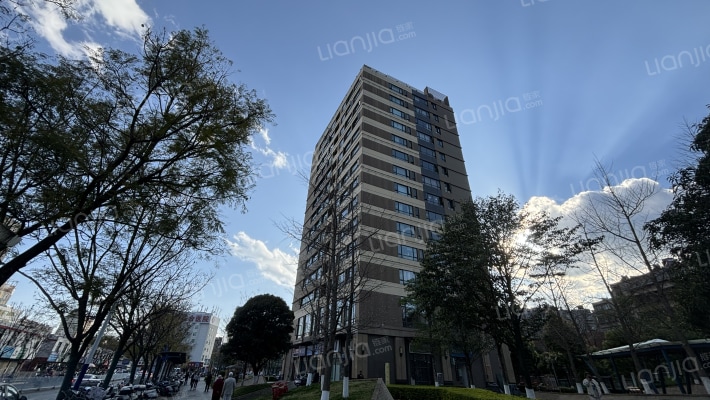 葡萄街区天宇盛苑外景图