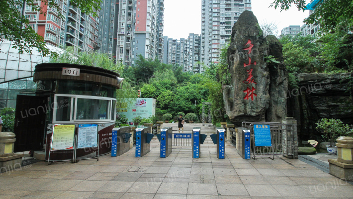 千山美林外景图