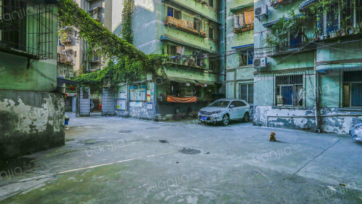 华星路10号外景图