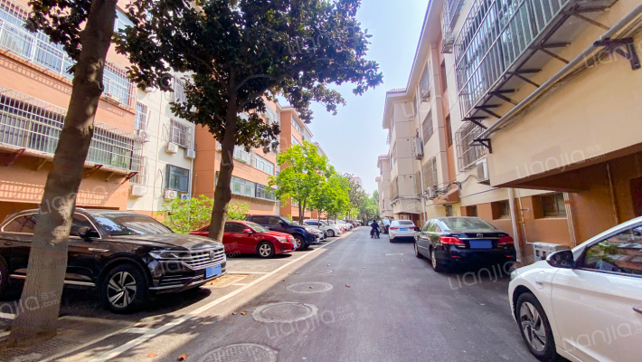 财政局西宿舍院外景图