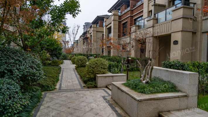 大家阳光里外景图