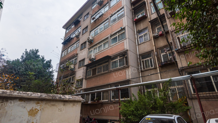 同乐路9号外景图